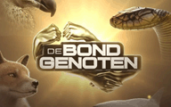 Klik hier om De Bondgenoten van 1 januari te bekijken.